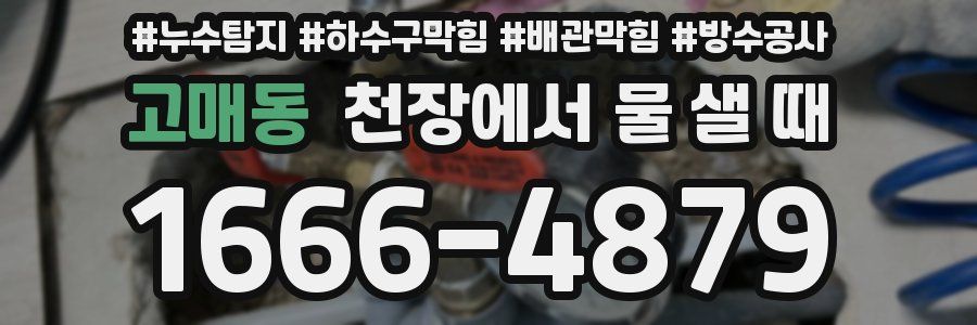 고매동 천장에서 물 샐 때