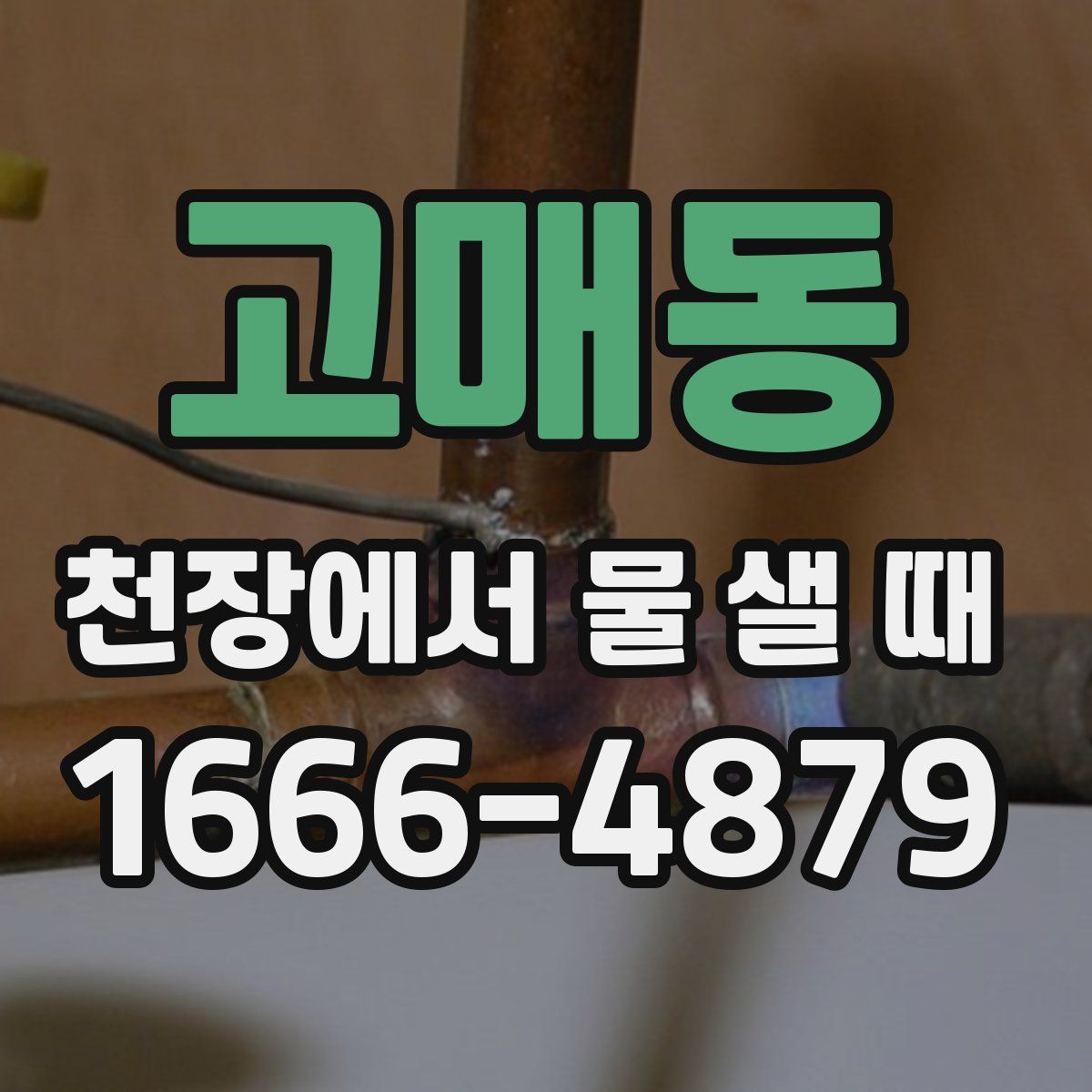 고매동 천장에서 물 샐 때