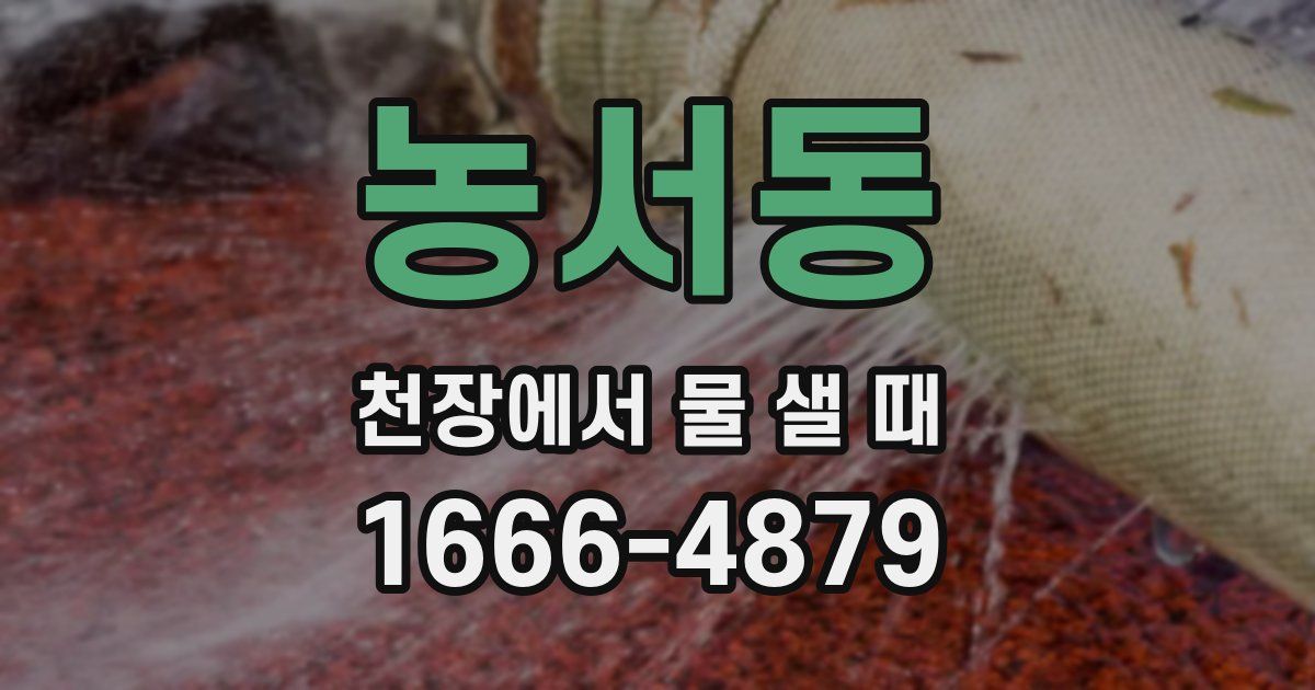 농서동 천장에서 물 샐 때