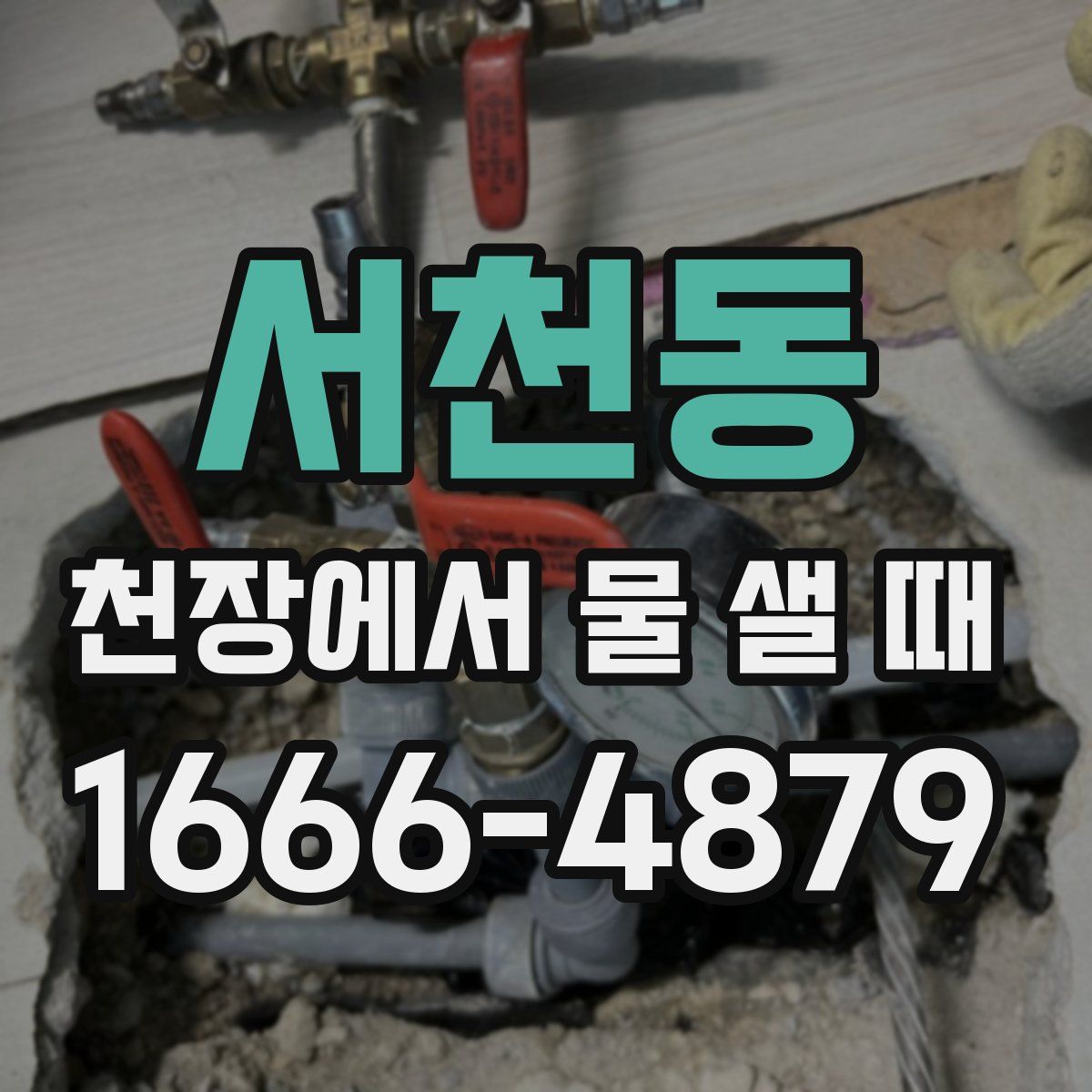서천동 천장에서 물 샐 때