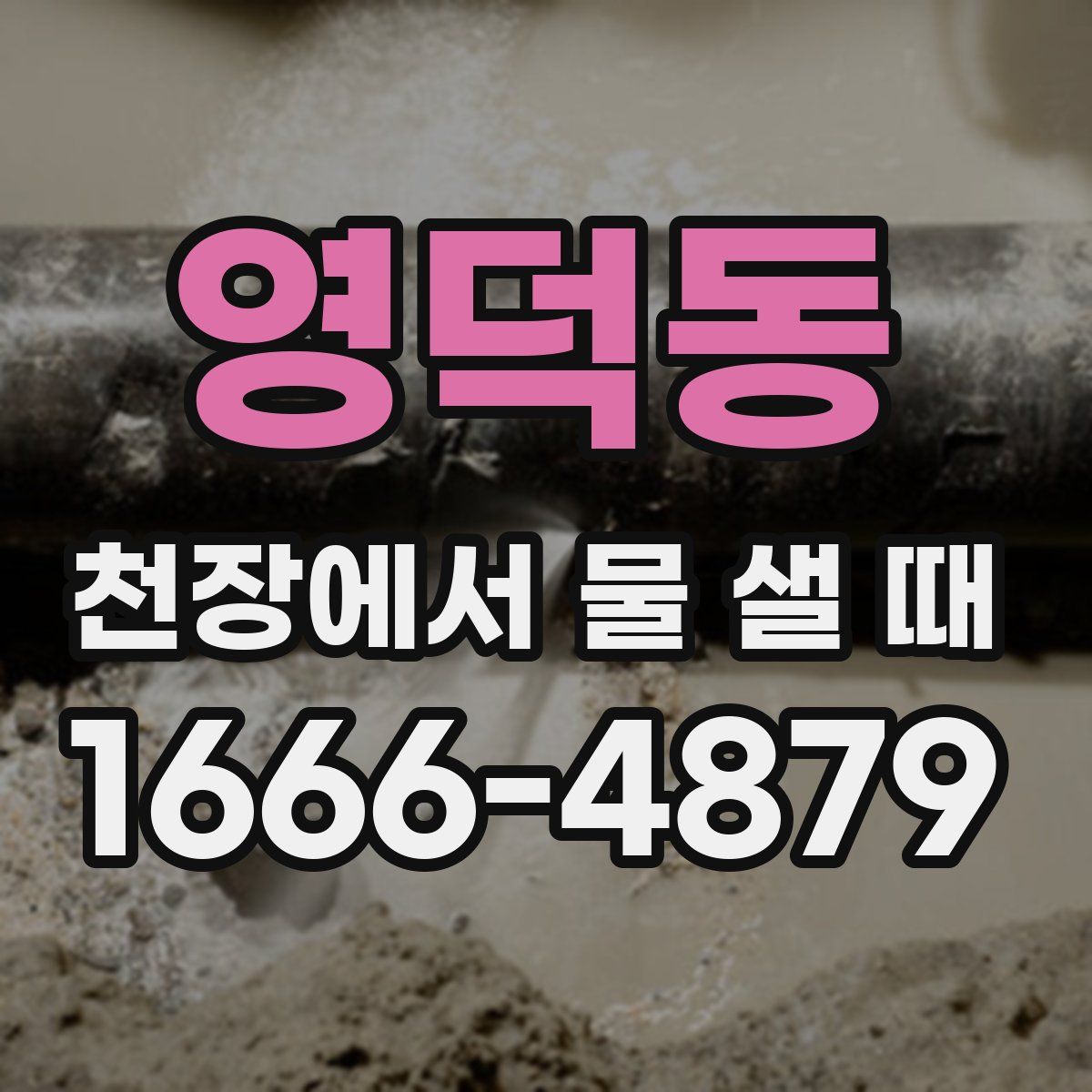 영덕동 천장에서 물 샐 때