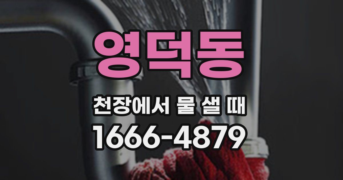 영덕동 천장에서 물 샐 때