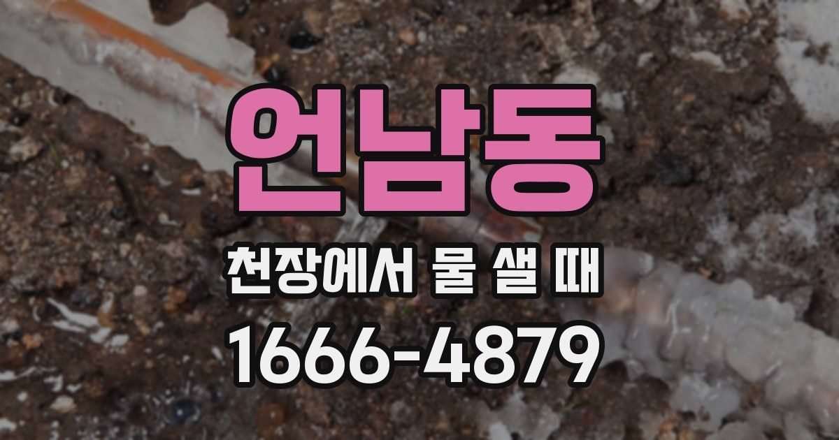언남동 천장에서 물 샐 때