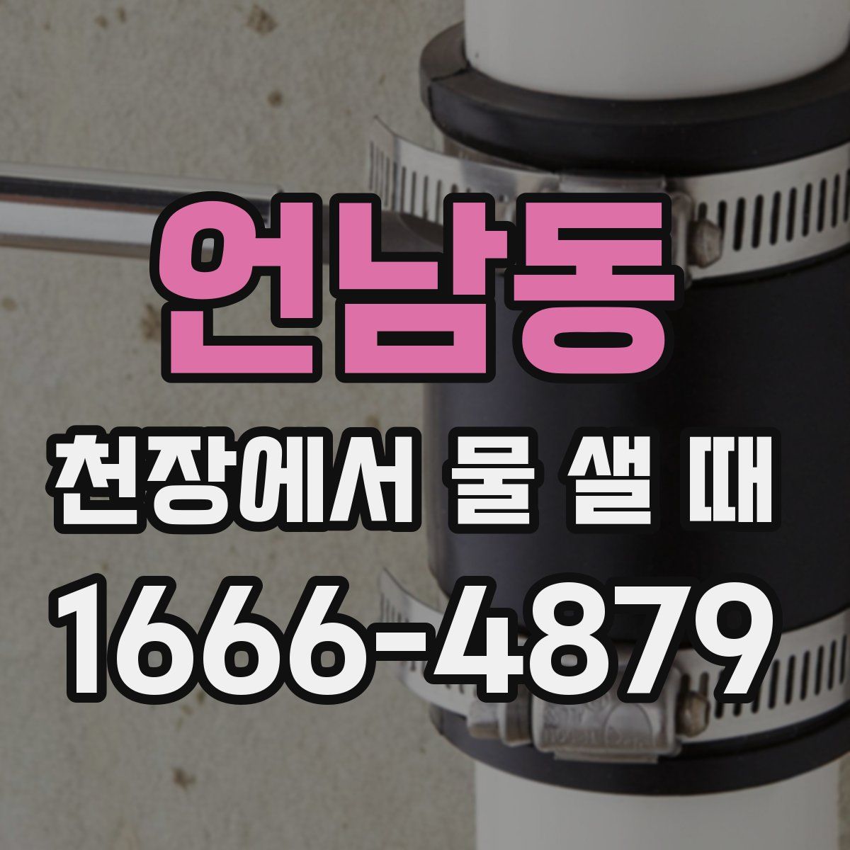 언남동 천장에서 물 샐 때