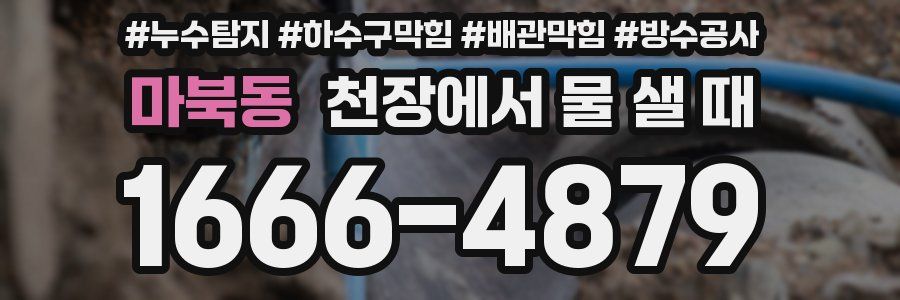 마북동 천장에서 물 샐 때