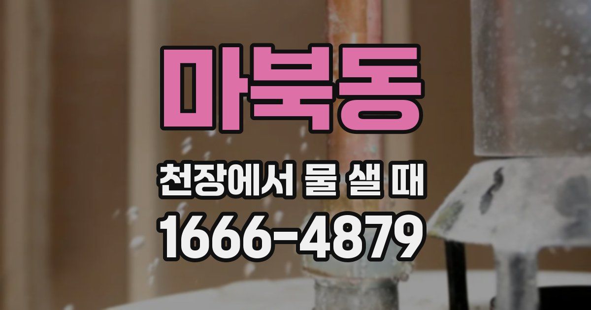 마북동 천장에서 물 샐 때