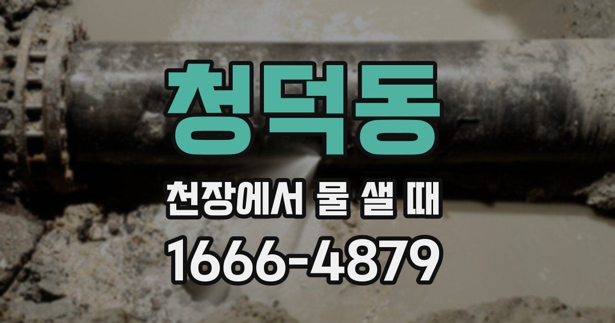 청덕동 천장에서 물 샐 때