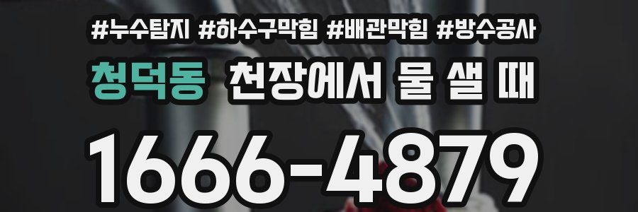 청덕동 천장에서 물 샐 때