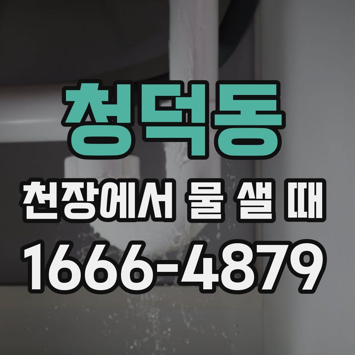 청덕동 천장에서 물 샐 때