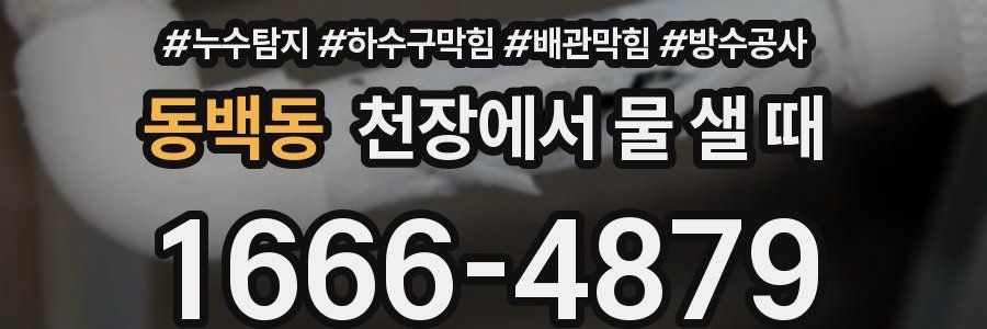 동백동 천장에서 물 샐 때