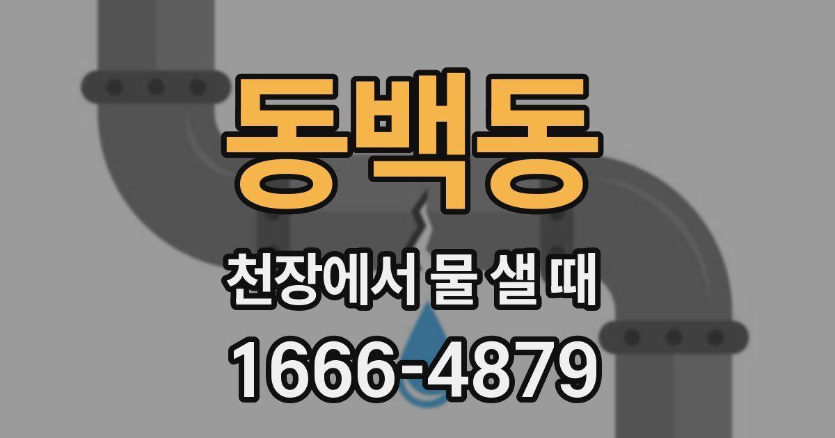 동백동 천장에서 물 샐 때