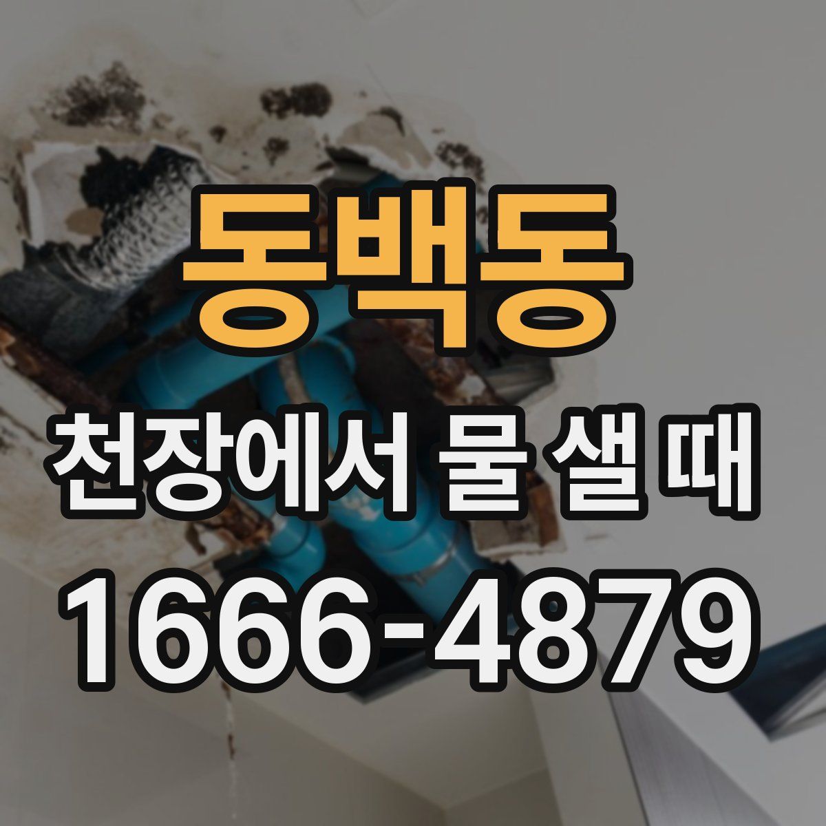 동백동 천장에서 물 샐 때
