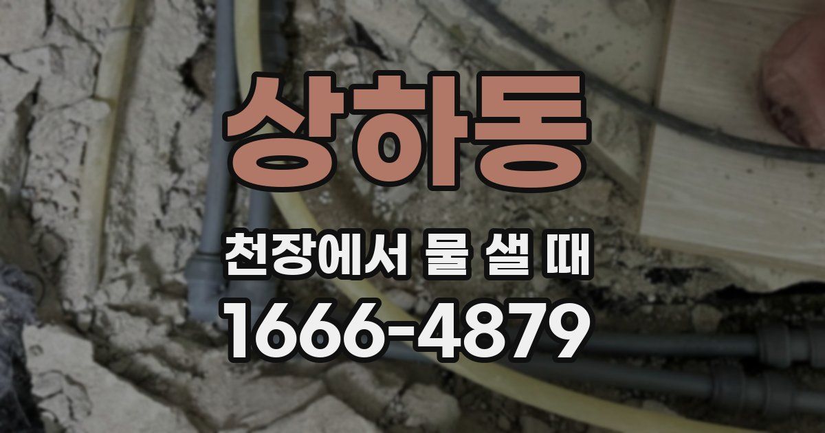 상하동 천장에서 물 샐 때