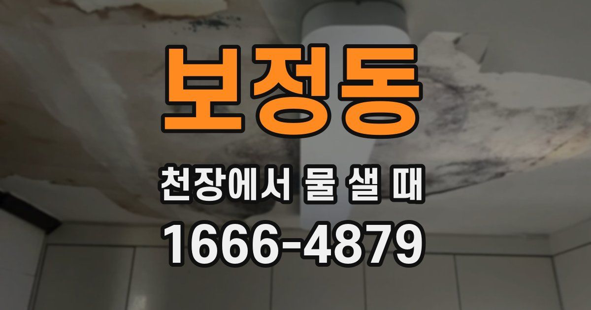 보정동 천장에서 물 샐 때