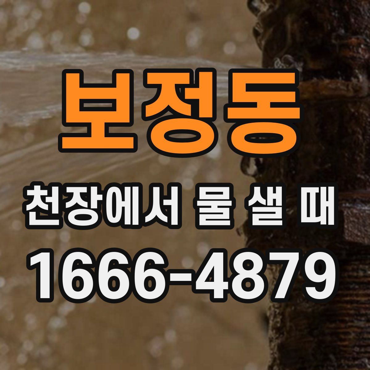 보정동 천장에서 물 샐 때