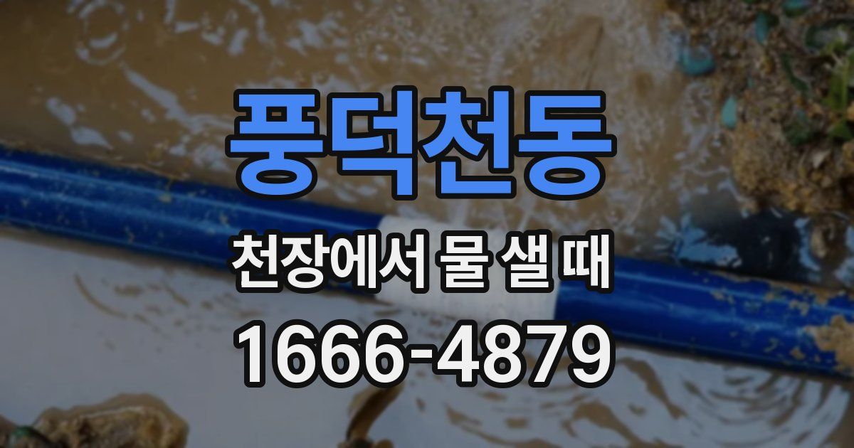 풍덕천동 천장에서 물 샐 때