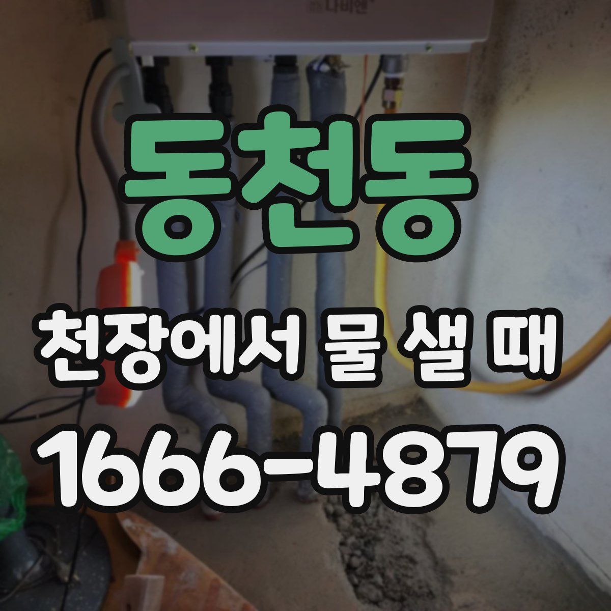 동천동 천장에서 물 샐 때