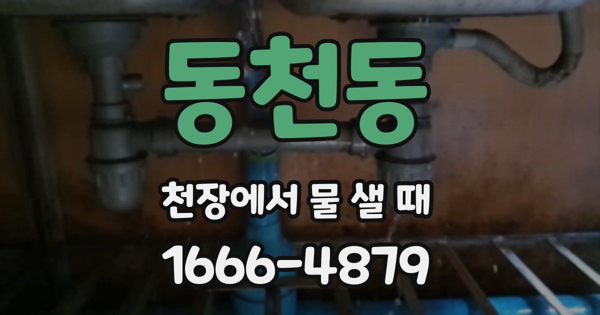 동천동 천장에서 물 샐 때