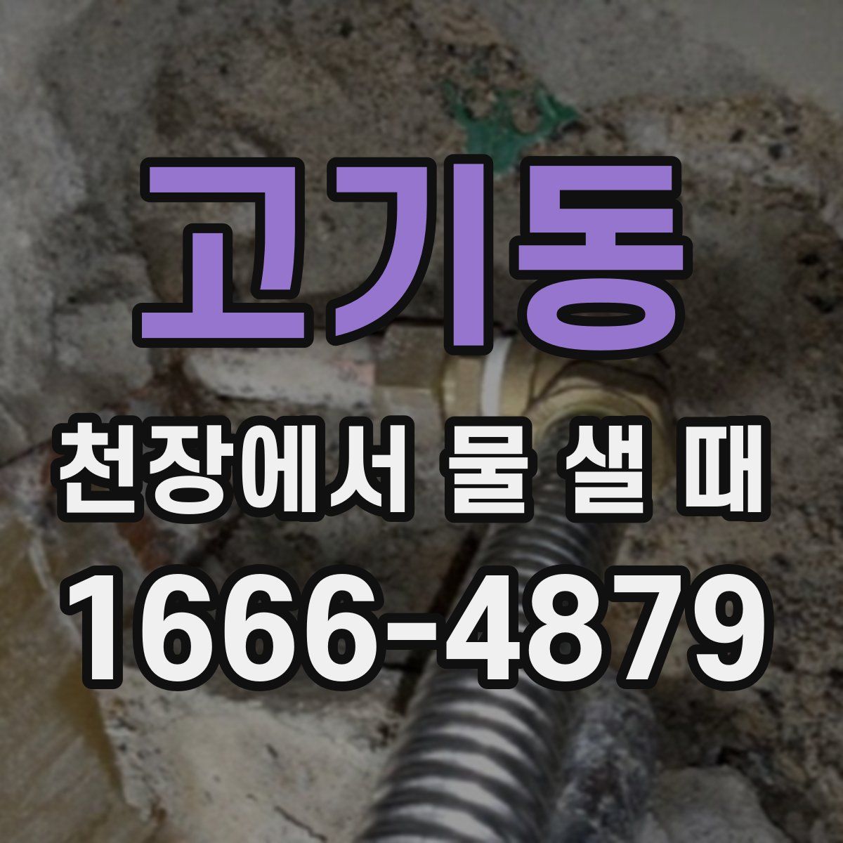 고기동 천장에서 물 샐 때