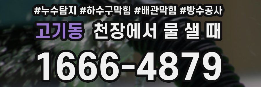 고기동 천장에서 물 샐 때