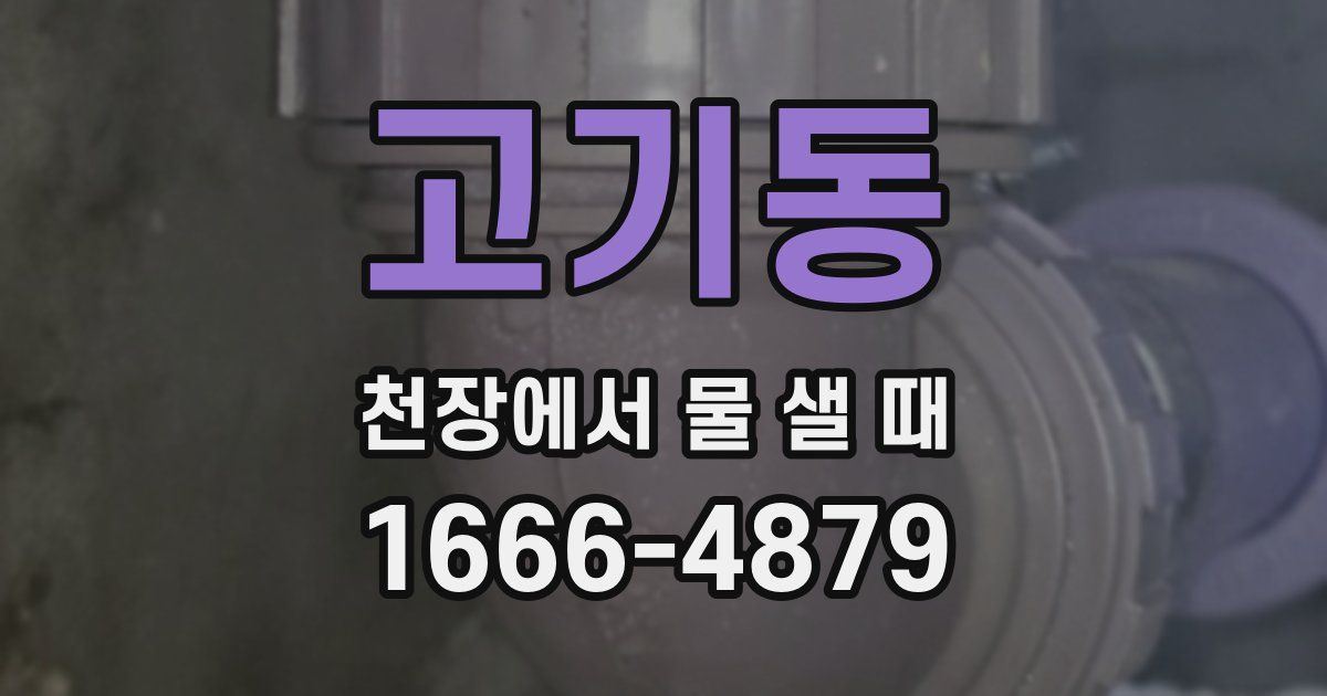고기동 천장에서 물 샐 때