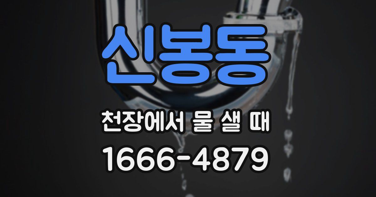 신봉동 천장에서 물 샐 때
