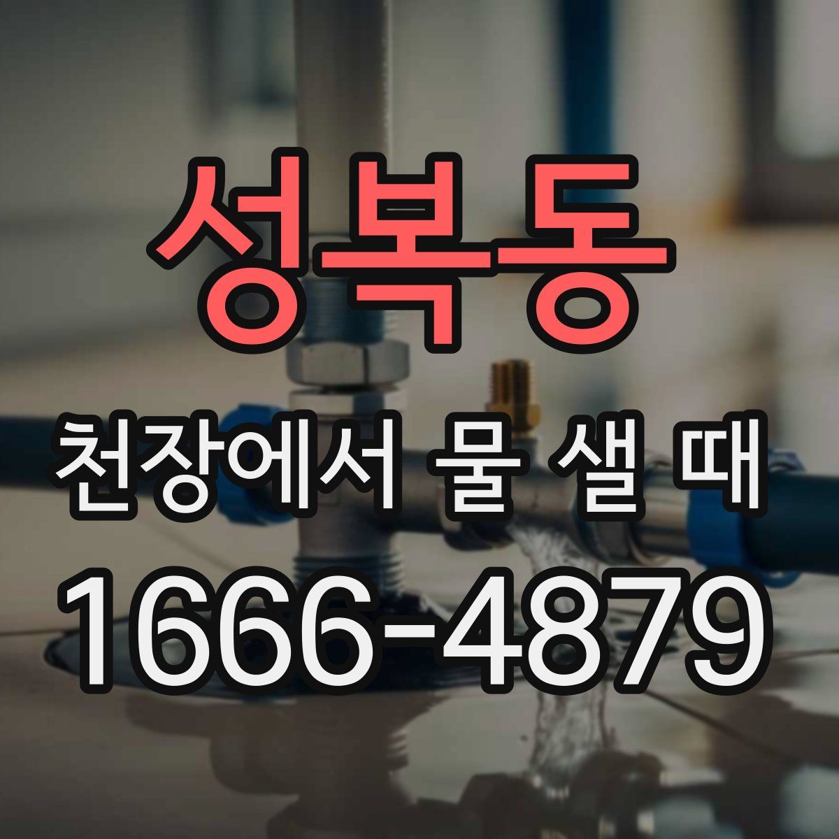 성복동 천장에서 물 샐 때