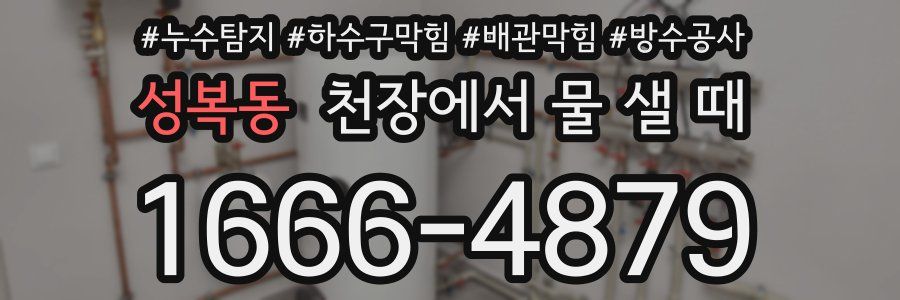 성복동 천장에서 물 샐 때