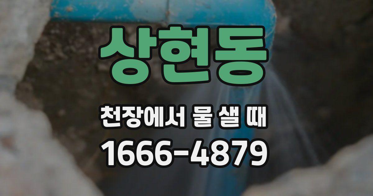 상현동 천장에서 물 샐 때