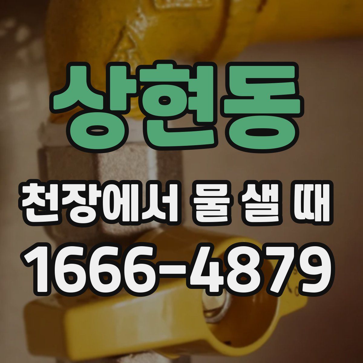 상현동 천장에서 물 샐 때