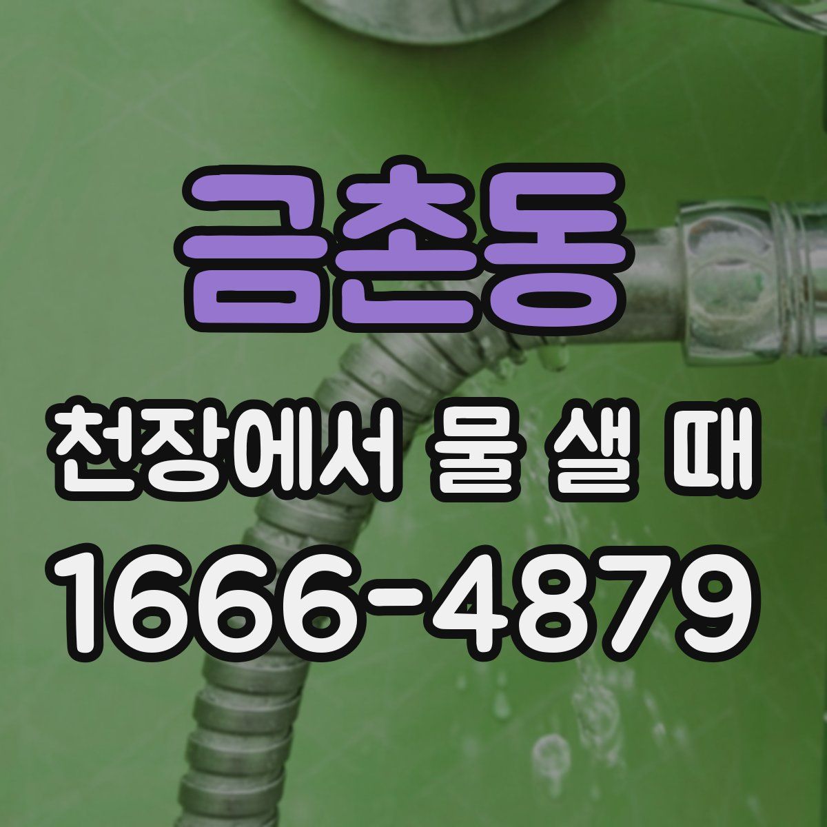 금촌동 천장에서 물 샐 때