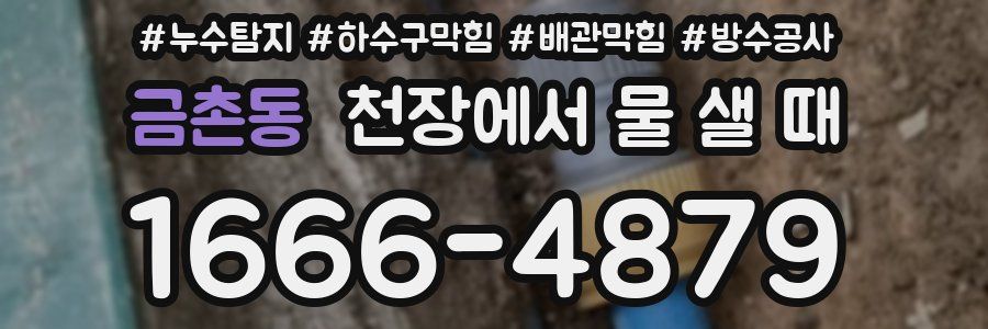 금촌동 천장에서 물 샐 때