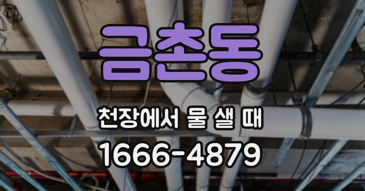 금촌동 천장에서 물 샐 때