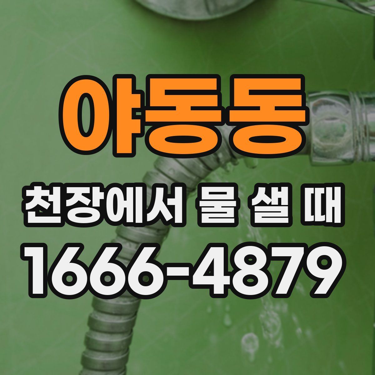 야동동 천장에서 물 샐 때