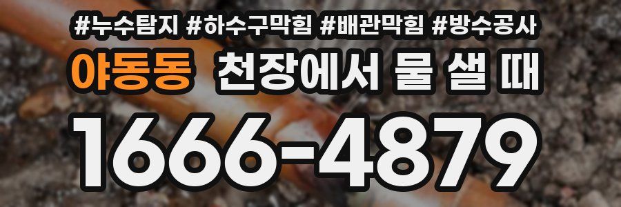 야동동 천장에서 물 샐 때