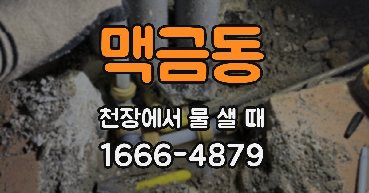 맥금동 천장에서 물 샐 때