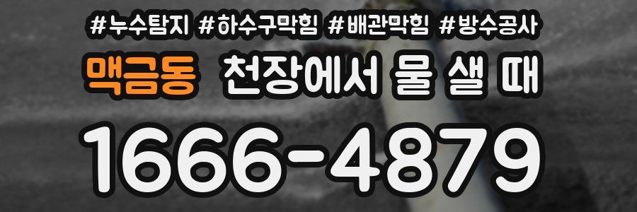 맥금동 천장에서 물 샐 때