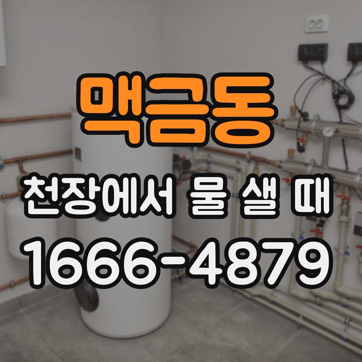 맥금동 천장에서 물 샐 때
