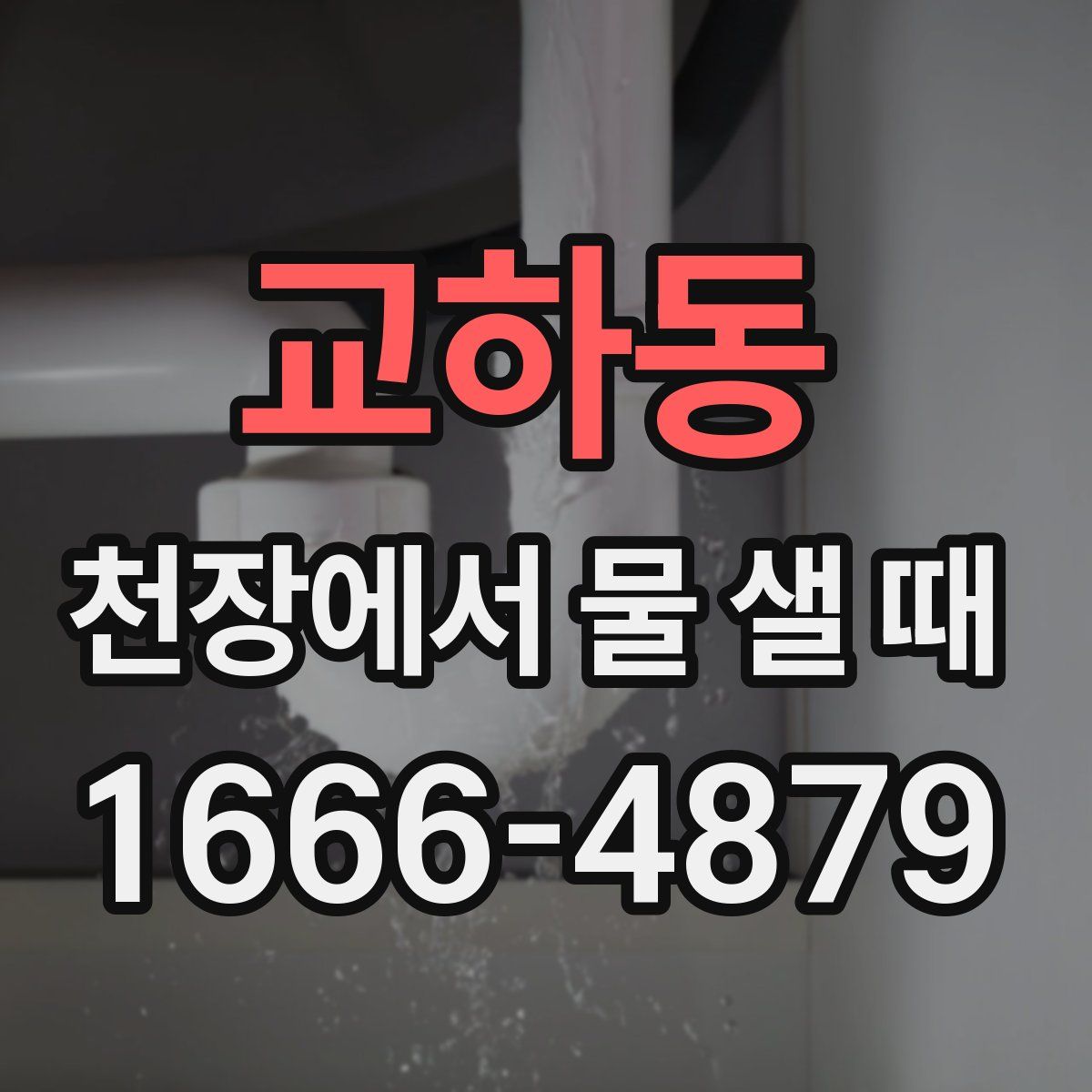 교하동 천장에서 물 샐 때