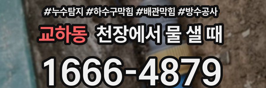 교하동 천장에서 물 샐 때