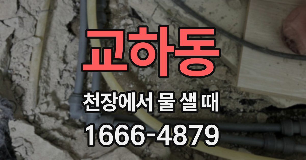 교하동 천장에서 물 샐 때