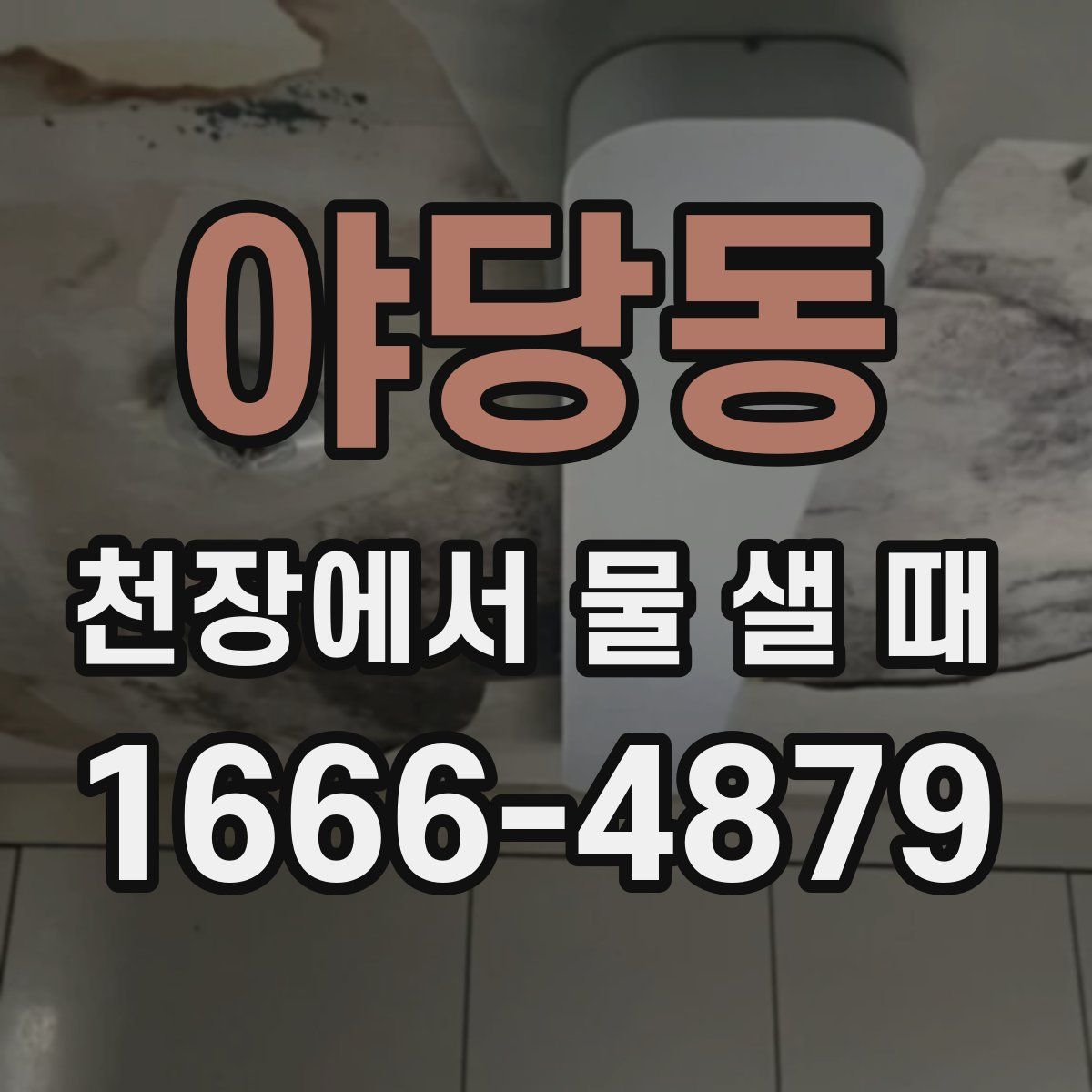 야당동 천장에서 물 샐 때