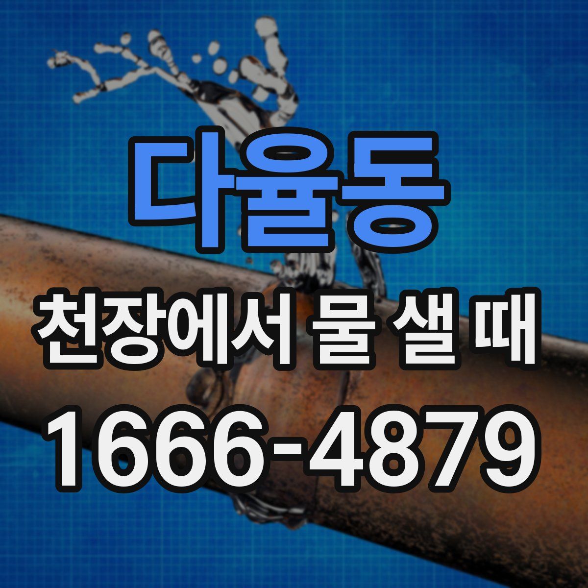 다율동 천장에서 물 샐 때