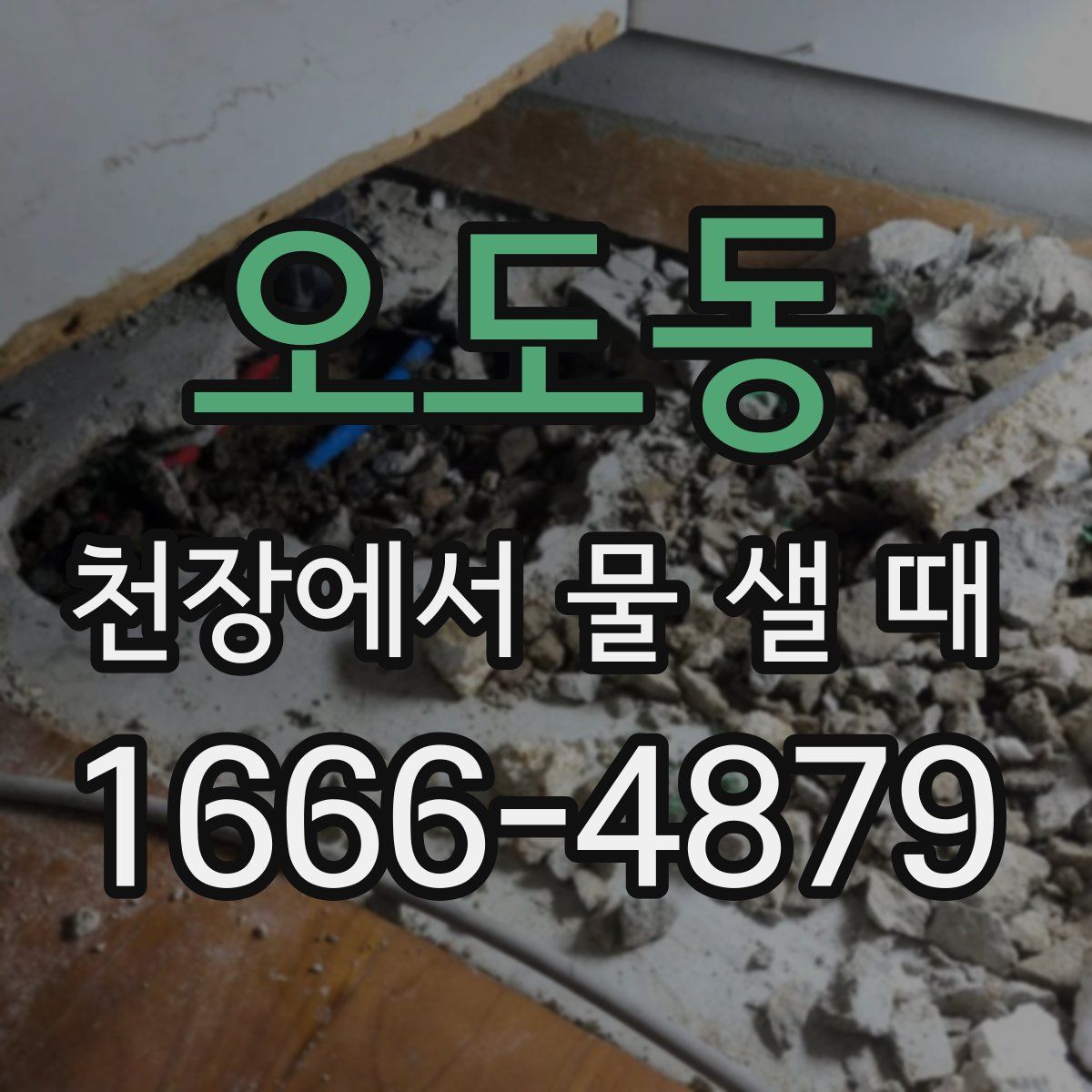 오도동 천장에서 물 샐 때