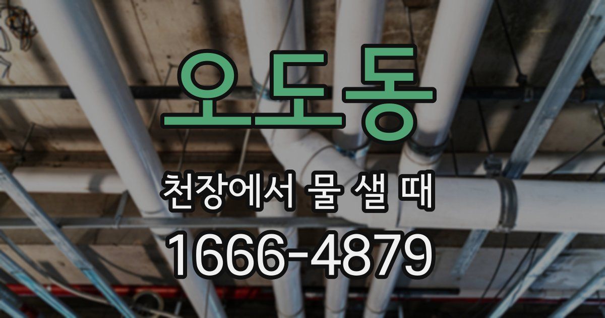 오도동 천장에서 물 샐 때