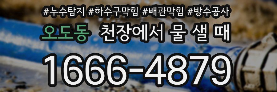 오도동 천장에서 물 샐 때