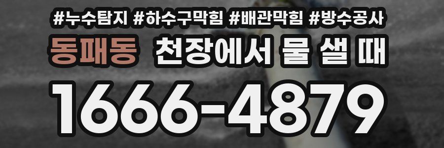 동패동 천장에서 물 샐 때