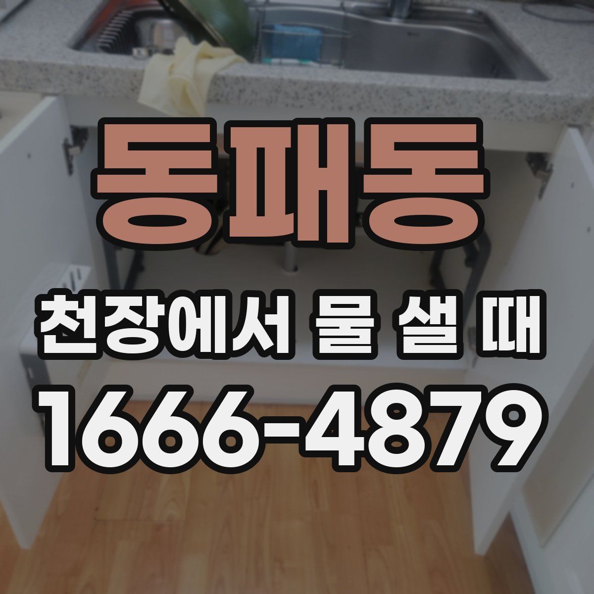 동패동 천장에서 물 샐 때