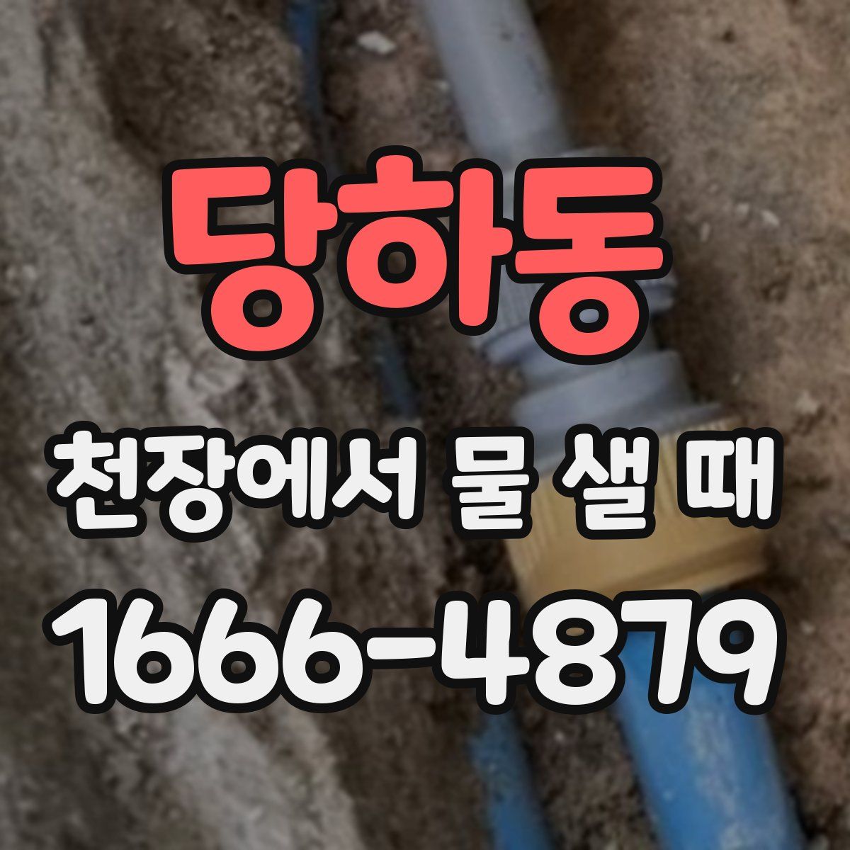 당하동 천장에서 물 샐 때