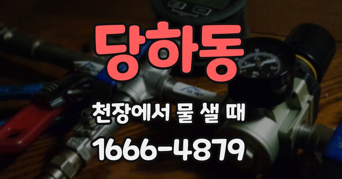 당하동 천장에서 물 샐 때